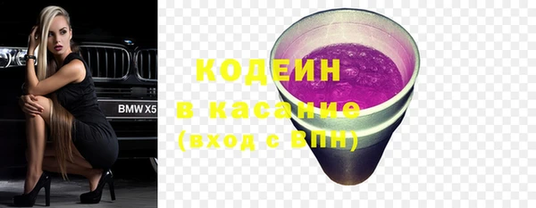 индика Белокуриха