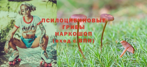 крисы Ростов