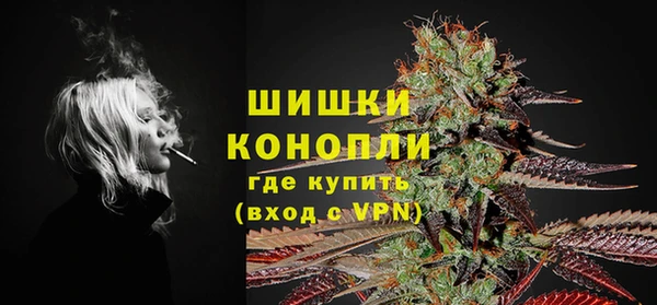 СК Богородицк