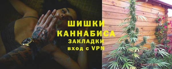 крисы Ростов